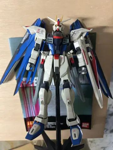 조립 완료 MG 프리덤 건담 스케일 1/100