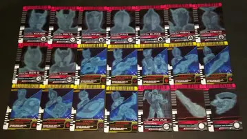 CSM 라이더 카드 블랭크 21장 세트