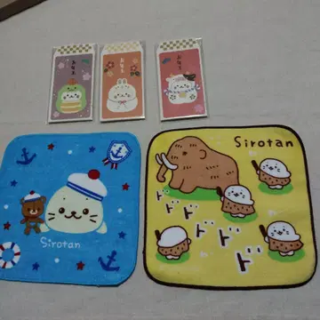 시로탄 십이지 미니 타월 묶음 판매