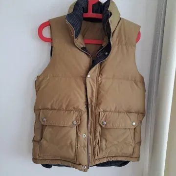 BEAMS 브라운 다운 베스트 캐주얼