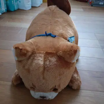 시바견의 커다란 봉제 인형