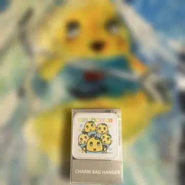 후낫시 백 행거