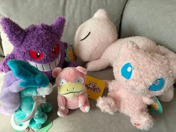 포켓몬 봉제 인형 5개 묶음 판매 새상품급