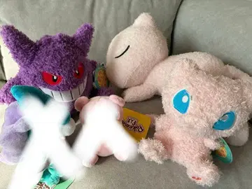 포켓몬 봉제 인형 3개 묶음 판매 새상품급