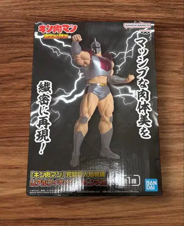 반다이 근육맨 완벽 초인 시조편 리얼 피규어 로빈 마스크