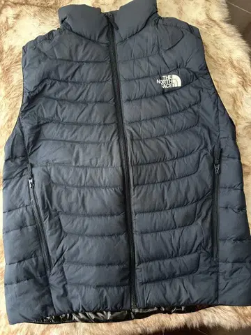 THE NORTH FACE 다운 베스트