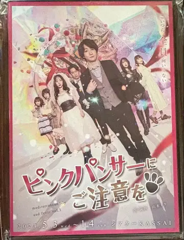 핑크 팬서 주의 DVD