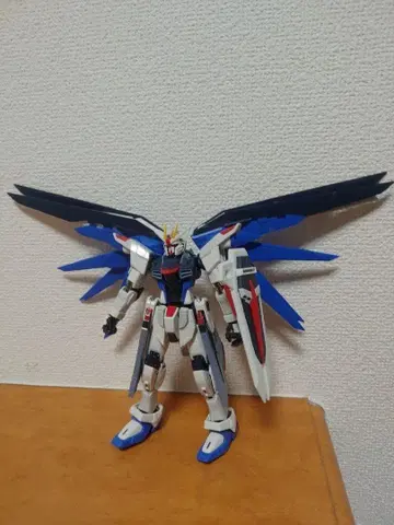 1/144 RG 프리덤 건담 상품 동시 300엔 할인