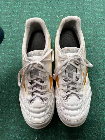 Mizuno 모나르시다 네오 트레이닝 슈즈