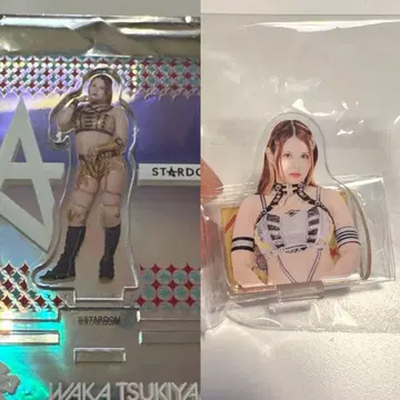 STARDOM 랜덤 상품 츠키야마 와카 묶음 판매