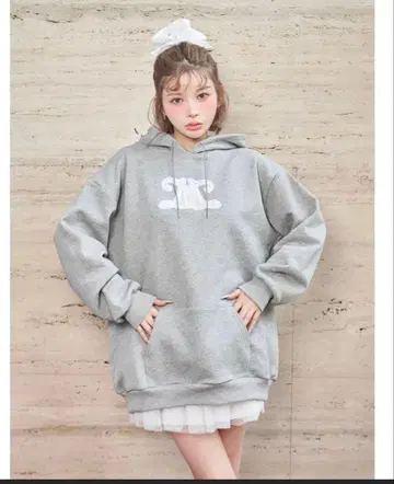 darich 아플리케 로고 후드티 그레이 배송비 포함 최저가