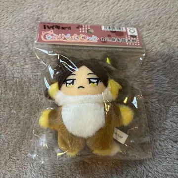 1 하이큐! 스나 린타로 치미케모 마스코트 치미케모