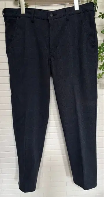 데니스라 에드윈 사이즈 34