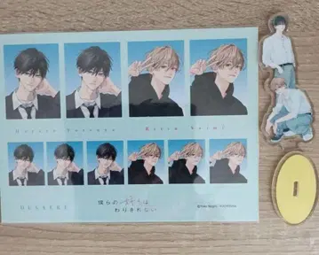 우리들의 사랑은 나눌 수 없어 전원 선물