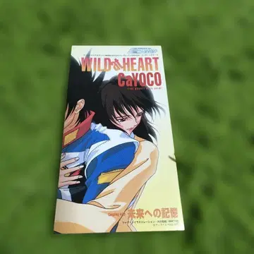 레어 CaYOCO/WILD at HEART 신세기 GPX 사이버 포뮬러