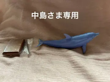 아쿠아랜드 해양당 묶음 판매