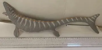 모사사우루스 전체 길이 40cm 초과