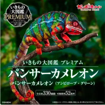 생물대도감 프리미엄 팬서 카멜레온 앰비 그린 로브 미개봉