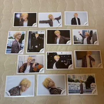 테라니시 타쿠토 공식 사진 13장