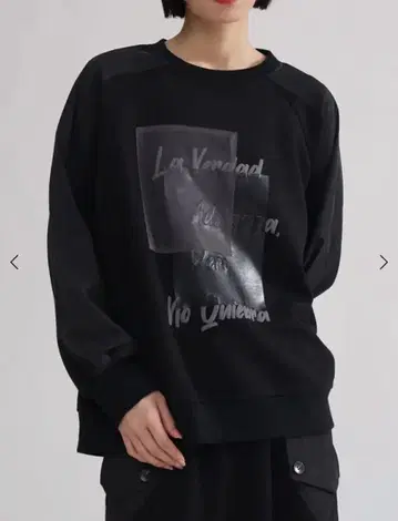 LASUD 이소재 믹스 로고 풀오버