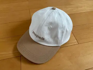 Patagonia 캡 플라이트 캡 여성용 남성용