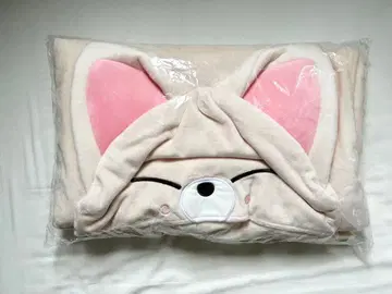 straykids 아이엔 폭시니 담요