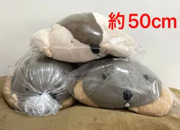 마모트 마모치오모 푸쿠의 페탄&마모 스모 3종류 약 50cm