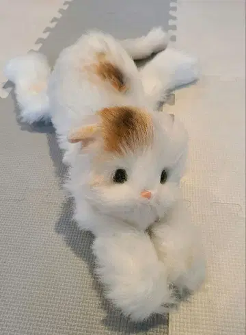 페르시안 고양이, 쇼와 레트로 봉제 인형