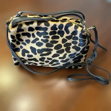 GIANNI CHIARINI 알리파 M 레오파드