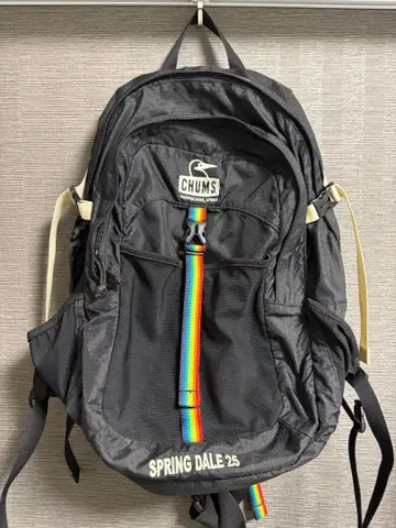 CHUMS SPRING DALE 25 백팩 블랙 레인보우
