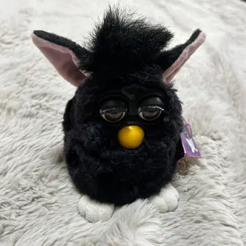 퍼비 블랙 (해외) 퍼비