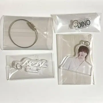 SEVENTEEN 디노 DIY 키 참 아크릴