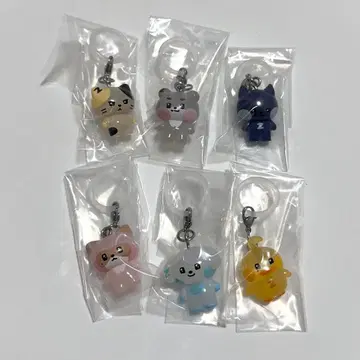 [ 미사용 새상품 ] zeroni  메지루시 액세서리 6개 세트