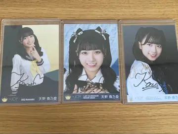 니앗 조이 아마노 코노아 친필 사인 브로마이드 3장 세트