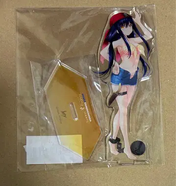 쿠시마 카모메 아크릴 스탠드 2025 VA 여름 페스티벌 썸머 포켓츠