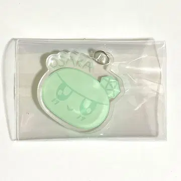 SEVENTEEN 오사카 봉봉이 DIY 키 차암