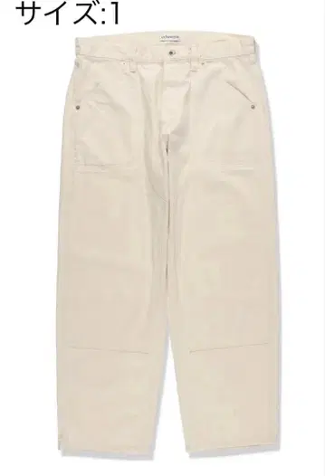 echeveria Painter's Double Knee Jeans