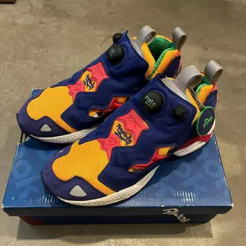 리복 펌프 퓨리