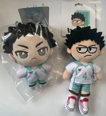 하이큐 하이큐 플라자 한정판 이와이즈미 하지메 지로리 봉제 인형 누이파루