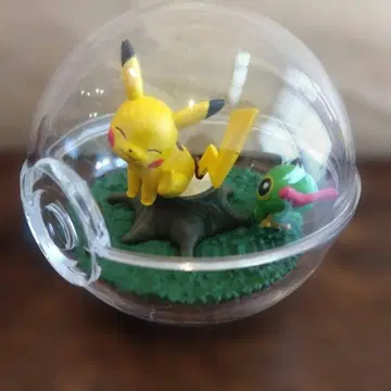 포켓몬 테라리움 컬렉션 10 피카츄 & 캐터피