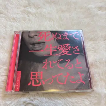 죽을 때까지 평생 사랑받고 있다고 생각했어 크리프하이프