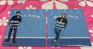 블루 록 드레스 코드 Blue 아크릴 스탠드 사에 린 아크릴 스탠드