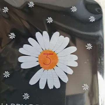 데이지 디자인 케이스 HAPPY DRAGON DAY 캔 보관 케이스