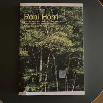 로니 혼 물 속에서 당신을 볼 때, 당신 안에서 물을 느끼나요? [도록]