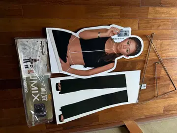 하마사키 아유미 등신대 패널