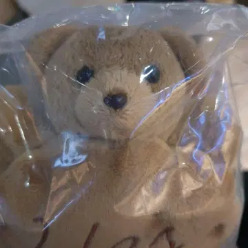 캐러멜 곰 봉제 인형 참