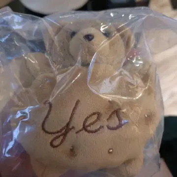 노 레이즌 샌드위치 캐러멜 곰 봉제 인형 참