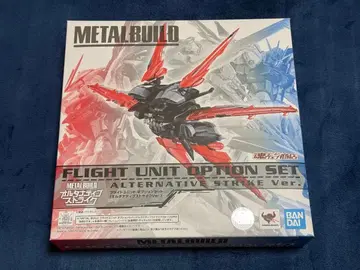 METAL BUILD 플라이트 유닛 얼터너티브 스트라이크