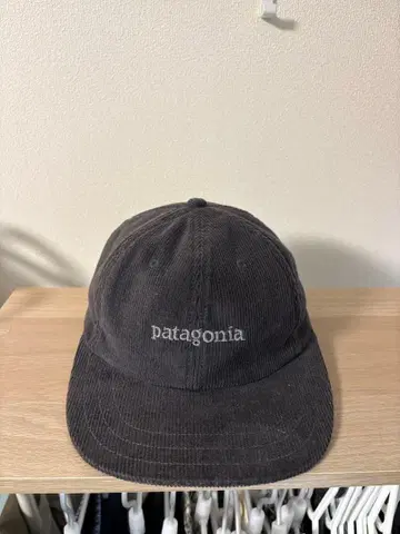 파타고니아 코듀로이 캡