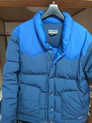 파타고니아 다운 자켓 파타고니아 다운